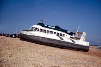 Hovering on the beach